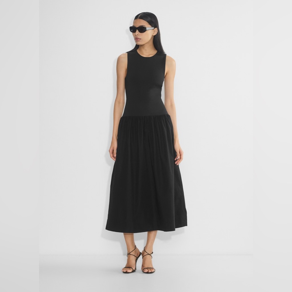 Aritzia Worldly dress